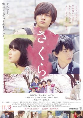 ดูหนังญี่ปุ่น Sakura (2020) เต็มเรื่อง หนังฟรี 4K | MOVIE22HD