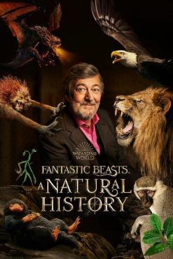 ดูหนังสารคดี Fantastic Beasts: A Natural History (2022) HD ซับไทย