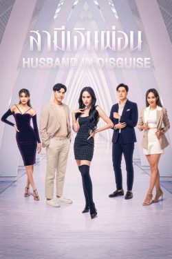 ดูซีรี่ย์ไทย สามีเงินผ่อน (2022) Husband in Disguise Full HD พากย์ไทย