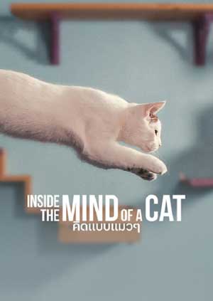 ดูหนัง Inside the Mind of a Cat (2022) คิดแบบแมวๆ Netflix