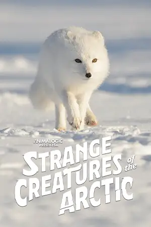 ดูสารคดี Strange Creatures of the Arctic (2022) ดูฟรี HD