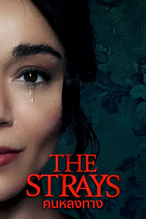 ดูหนัง Netflix The Strays (2023) คนหลงทาง ดูฟรี HD เต็มเรื่อง