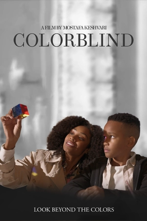 ดูหนังฝรั่ง Colorblind (2023) มาสเตอร์ HD เต็มเรื่อง