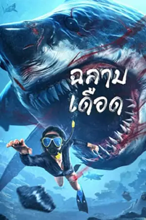 ดูหนังจีน Shark Evil (2023) ฉลามเดือด มาสเตอร์ HD เต็มเรื่อง
