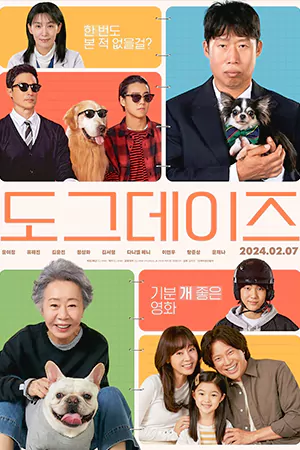 ดูหนังเกาหลี Dog Days (2024) ด็อกเดย์ สี่ขาว้าวุ่น HD