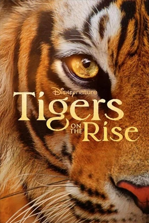 ดูหนังใหม่ Tigers on the Rise (2024) มาสเตอร์ HD