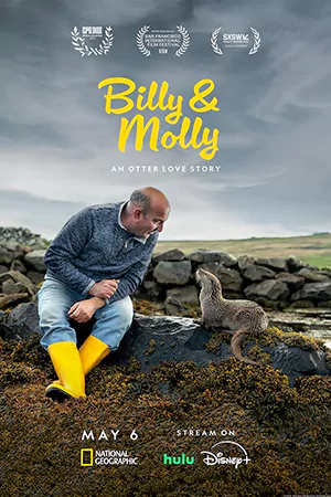 ดูหนังสารคดี Billy & Molly: An Otter Love Story (2024) HD