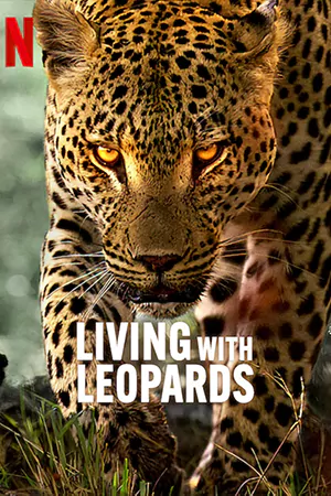 ดูหนังสารคดี Living with Leopards (2024) อยู่กับเสือดาว HD