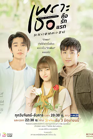 ดูซีรี่ย์ไทย เพราะเธอคือรักแรก (2024) A Love So Beautiful HD (จบเรื่อง)