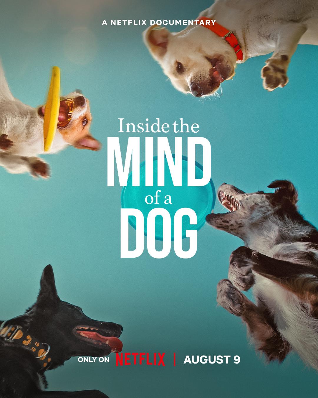 ดูหนังสารคดี Inside the Mind of a Dog (2024) อ่านใจสุนัข HD