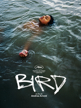 ดูหนัง Bird (2024) เบิร์ด HD ดูหนังฟรี เต็มเรื่อง