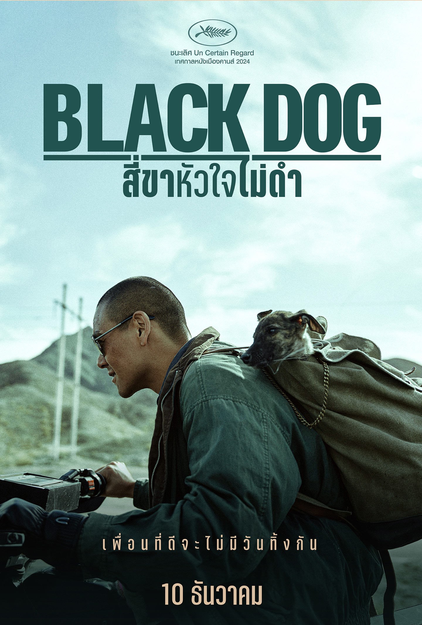 ดูหนัง Black Dog (2024) สี่ขาหัวใจไม่ดำ มาสเตอร์ HD