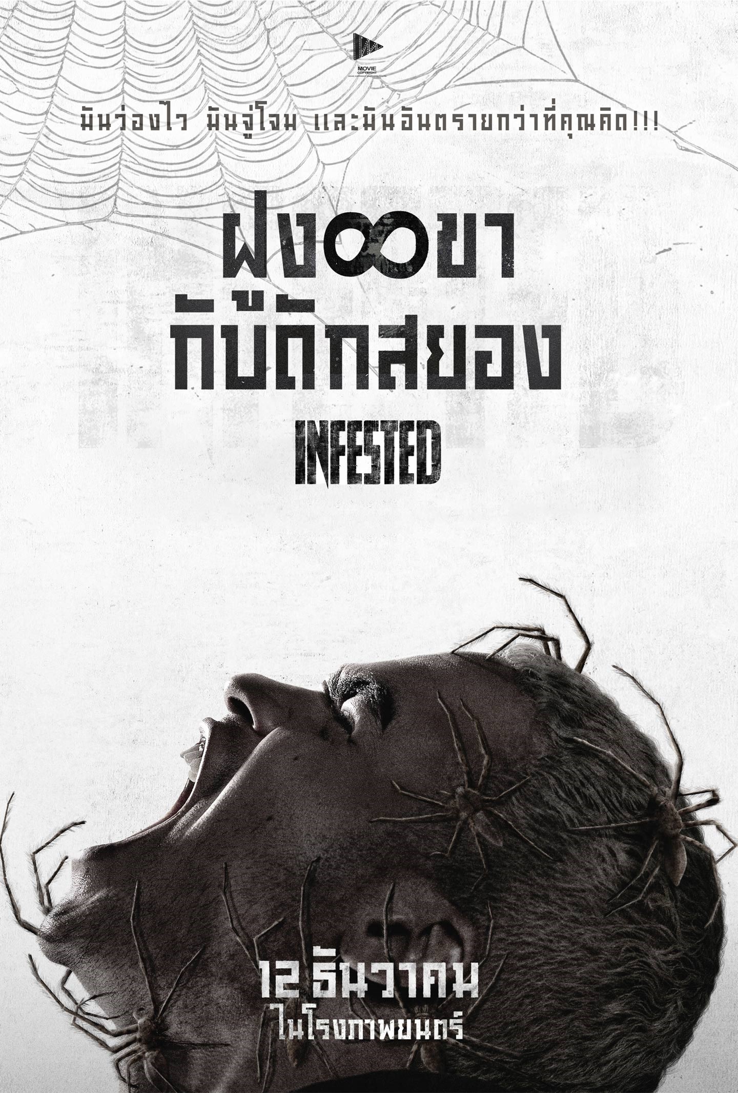 ดูหนัง Infested (2024) ฝูง 8 ขากับดักสยอง พากย์ไทย HD