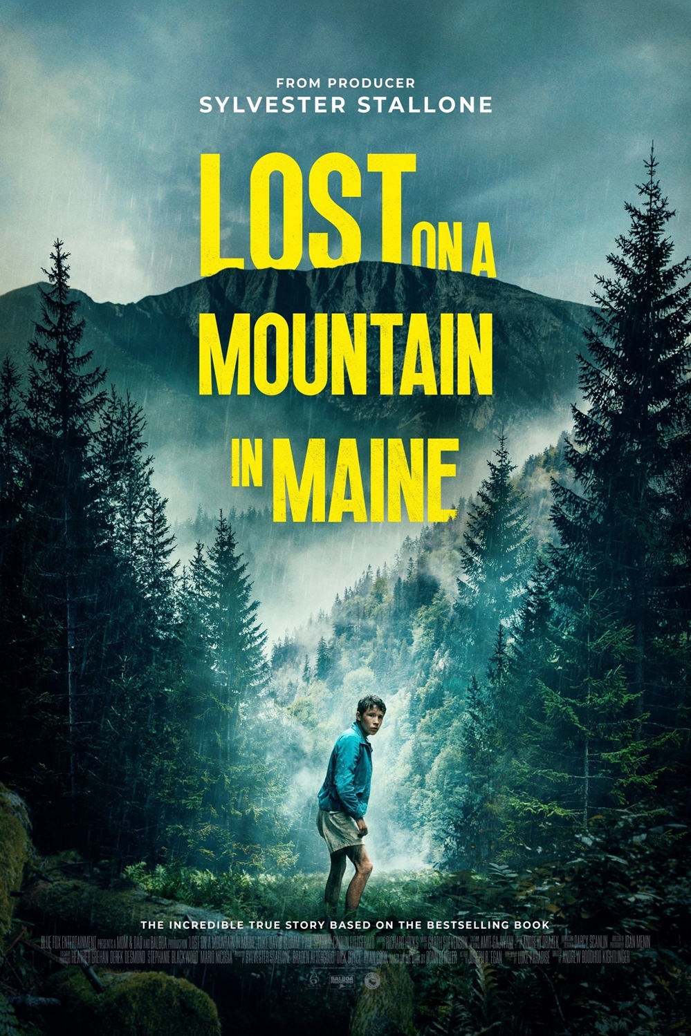 ดูหนัง Lost on a Mountain in Maine (2024) บรรยายไทย HD